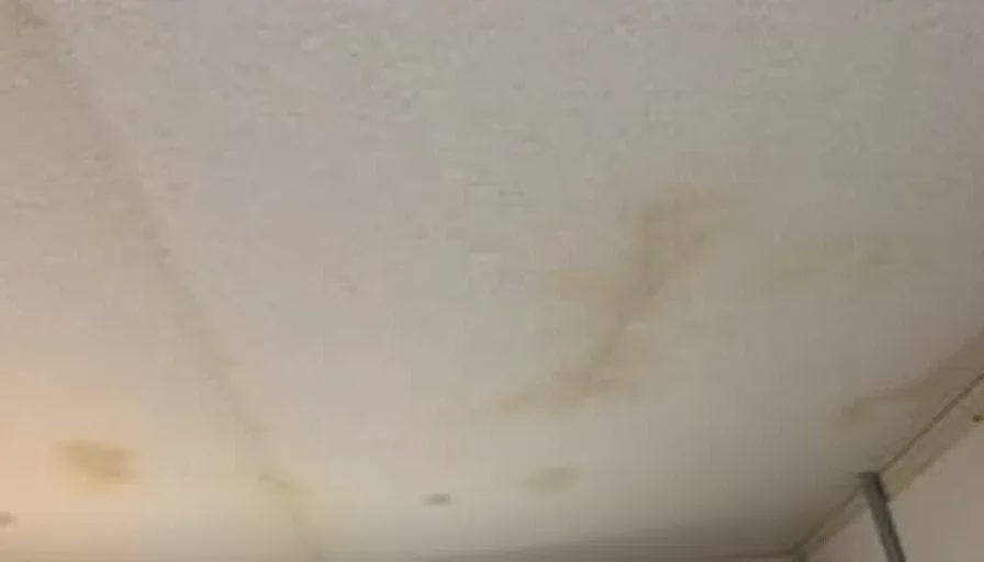 Multiple unconnected ceiling stains from roof failure.